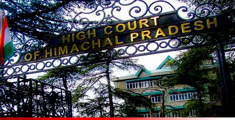 Himachal HC Grants Bail to Man Accused of Unnatural Acts with Cow [READ ORDER]