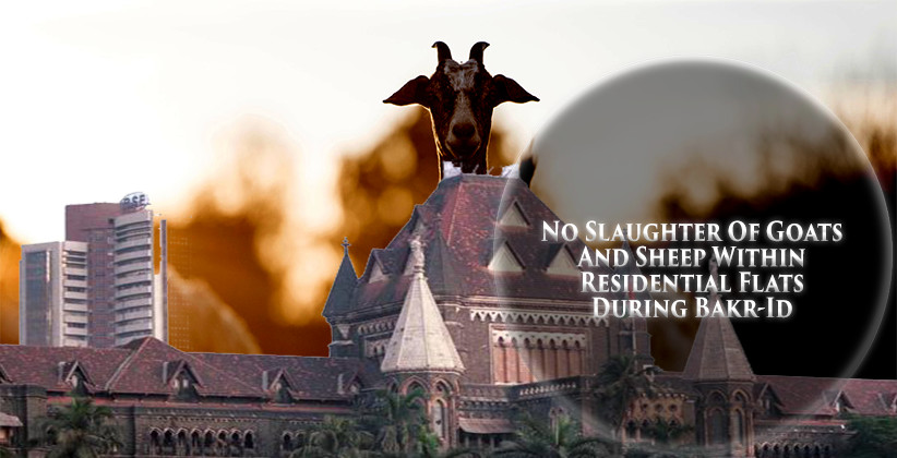 No Slaughter Of Goats And Sheep Within Residential Flats During Bakr-Id: Bombay HC [Read Order]