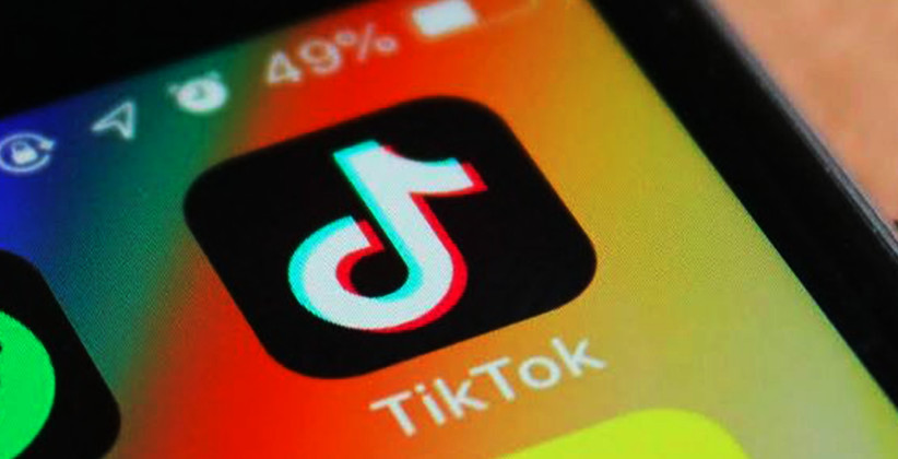 Madras HC Refuses To Stay Ban On TikTok; Google Blocks App