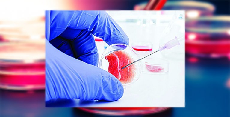 Stem Cell Treatment To Continue Until Licences Under New Drugs And Clinical Rules, 2019 Are Processed: Delhi HC