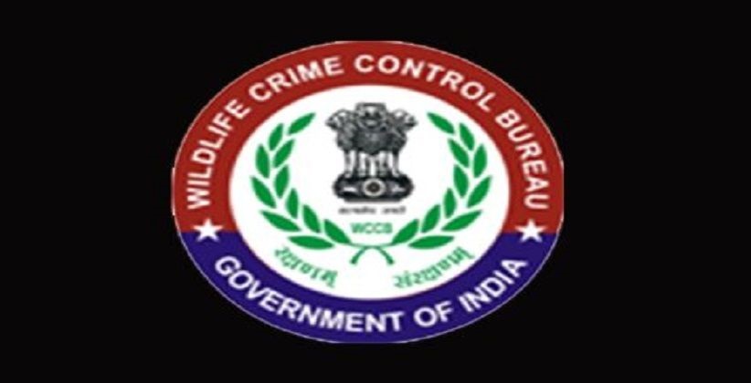 Internship Opportunity @ Wildlife Crime Control Bureau, Ministry of Environment