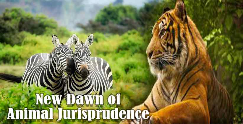 New Dawn of Animal Jurisprudence: Karnail Singh and Ors. v. State of Haryana