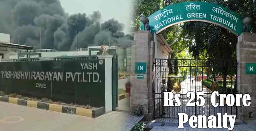 Yashyashvi Rasayan Pvt Ltd National Green Tribunal