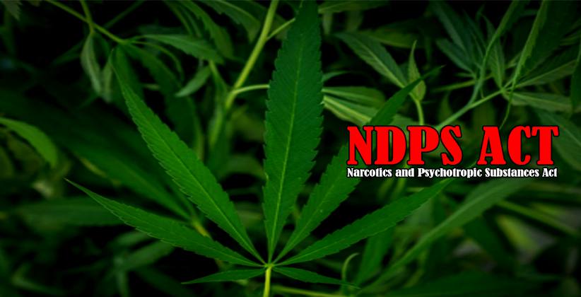Charge Sheet Meghalaya NDPS Court Marijuana