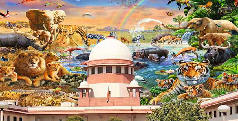 Plea filed in Supreme Court Seeks for the entire Animal Kingdom to be declared as “Legal Entities” for their protection [READ PIL]