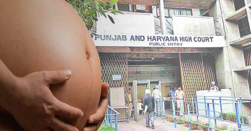 Pregnant Woman Punjab Haryana High Court