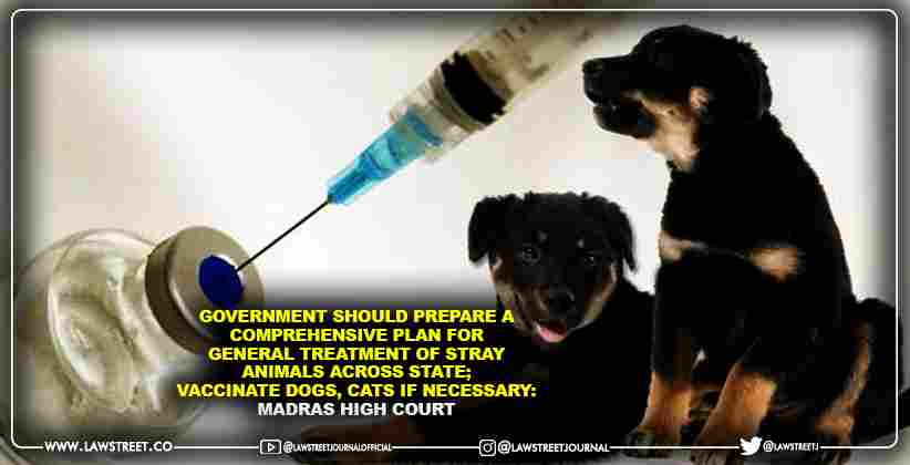 Government should Prepare a comprehensive Plan For General Treatment Of Stray Animals Across State; Vaccinate Dogs, Cats If Necessary: Madras High Court [READ ORDER]