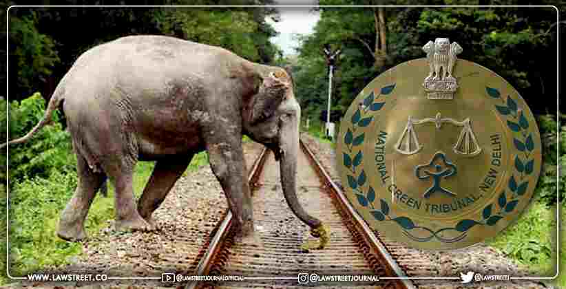 directions to states to curb elephant killing on railway tracks