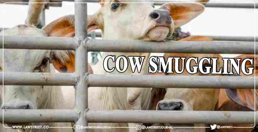 Supreme Court Cow Smuggling