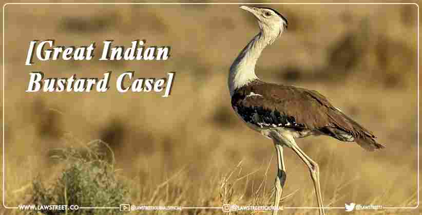 [Great Indian Bustard Case]: Supreme Court Bench led by CJI Hearing
