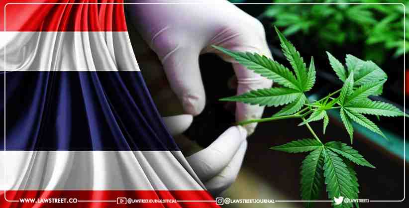 Thailand Legalizes Marijuana Cannabis