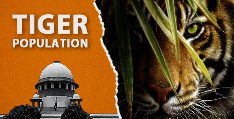 ‘India home to over 70% world tiger population, 2,967 tigers across 53 reserves’, Centre to SC [Read Status Report]