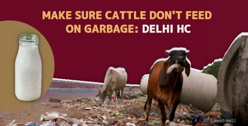  Delhi's Milk Supply in Danger? High Court's Directs Delhi Govt. to Stop Cattle Feeding on Garbage [Read Order] 