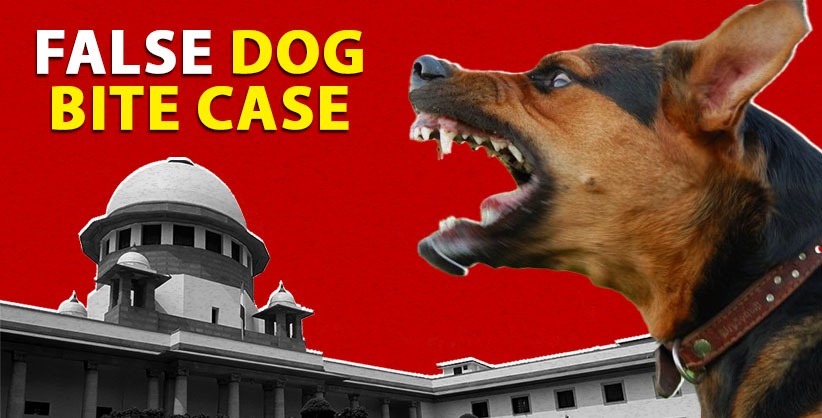 False Dog Bite Case Haunts Law Graduate's Dream of Becoming a Judge: Supreme Court to Look Into the Matter
