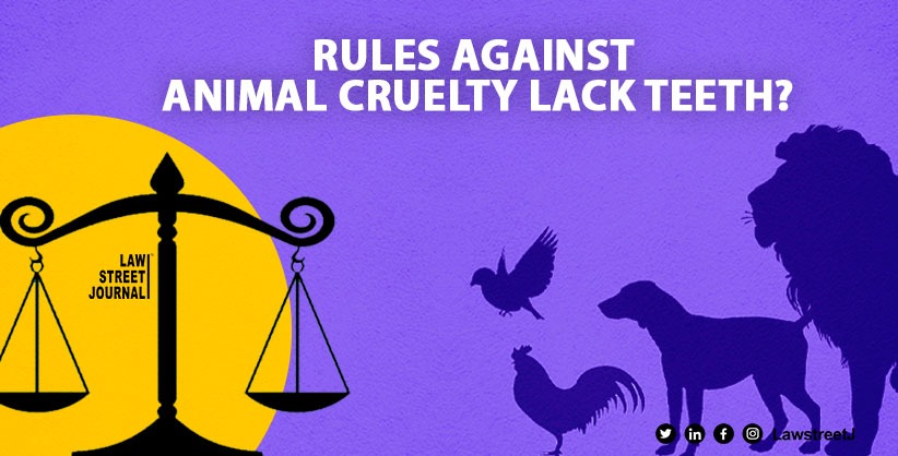 Does India need tough laws to prevent cruelty to animals