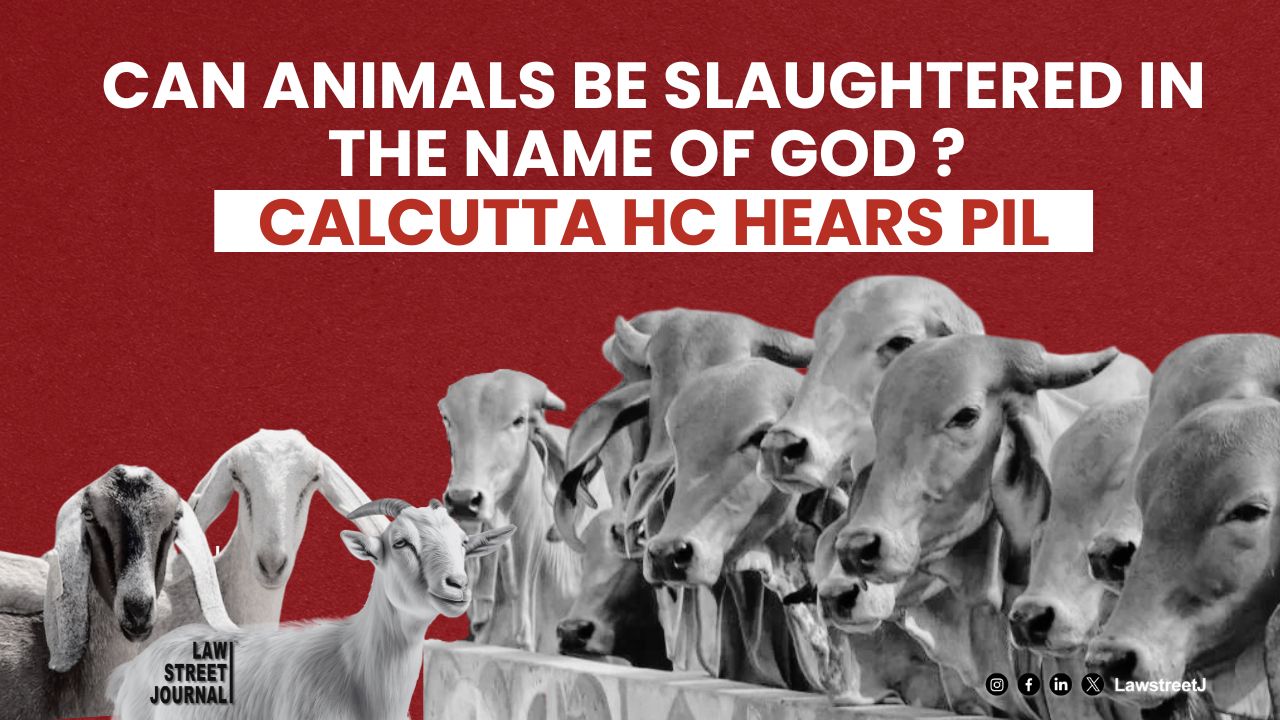 Can animals be slaughtered in the name of God Calcutta High Court hears PIL