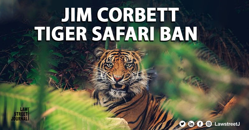 SC bans Tiger Safari in core areas of Jim Corbett National Park, here's why!