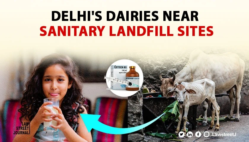 Cow milk from cows eating sanitary trash in Delhi dairy colonies Delhi Govt asks Delhi HC to allow continued ops