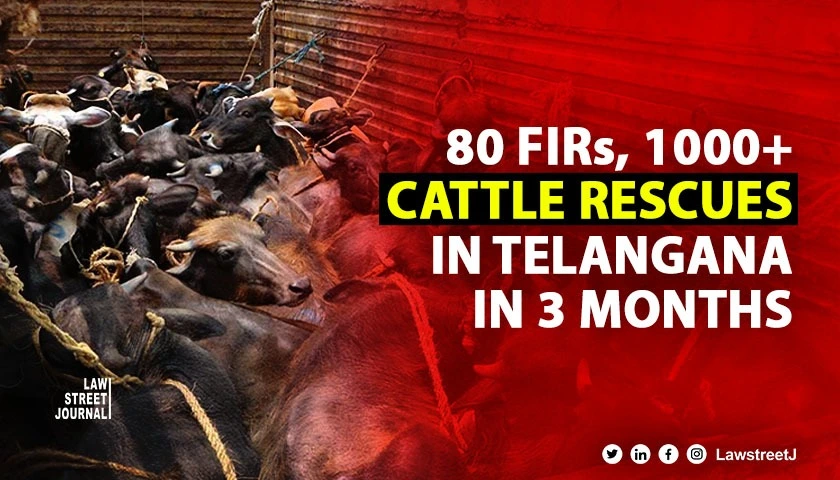 80 FIRs 1000s cattle rescued from smuggling and illegal slaughter in 3 months in Telangana