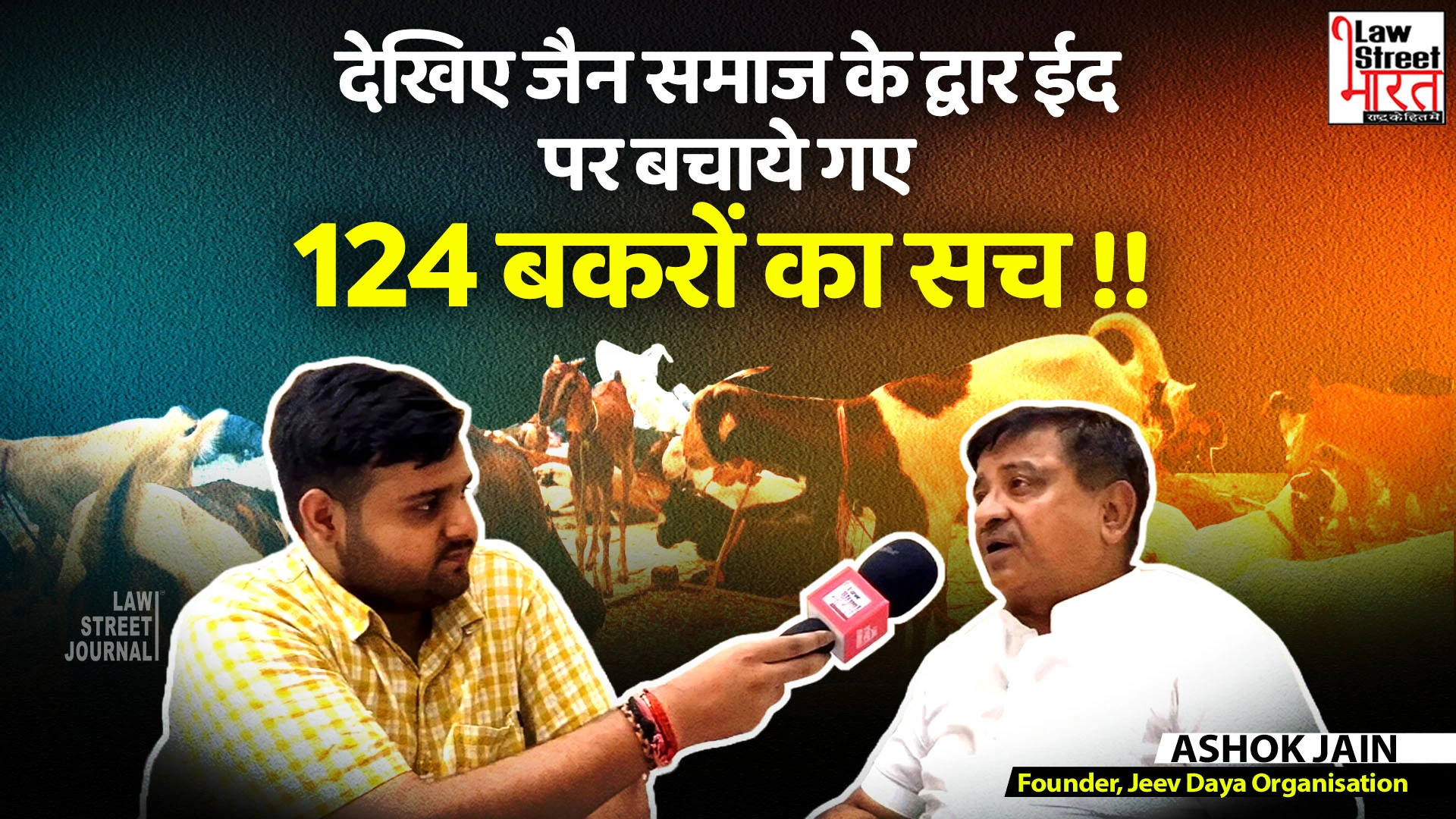 Watch how the Jain community saved over 1000 goats on Bakrid [Watch Video]
