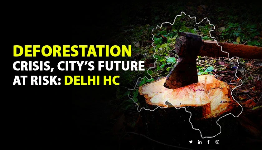 Delhi High Court warns deforestation could turn city into barren desert amid record temperature