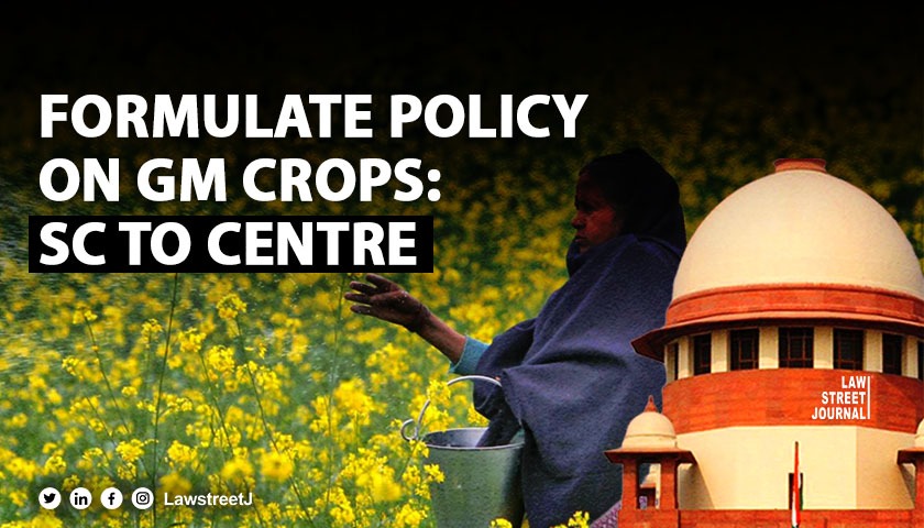 Formulate policy on GM crops SC to Centre in split verdict on approval for GM Mustard