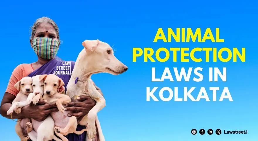 Calcutta HC seeks report on enforcement of Animal Protection Laws flags illegal pet breeding and sales in unregistered shops