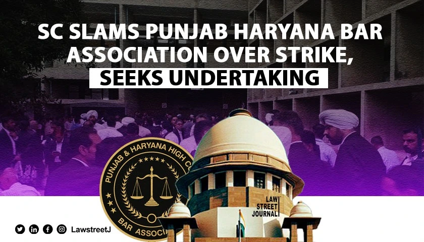 supreme-court-criticises-punjab-and-haryana-high-court-bar-association-for-strike-seeks-undertaking-to-abide-by-law