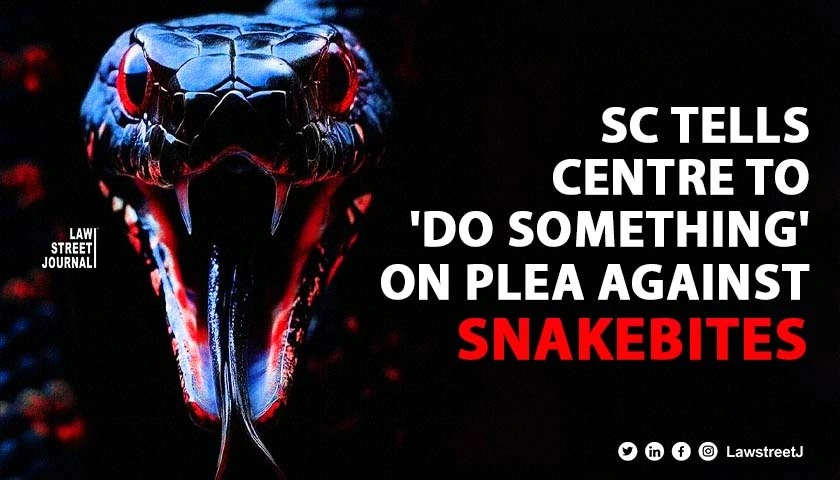 SC tells Centre to do something on plea against snakebites