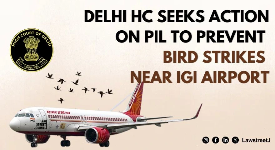 Delhi HC issues notice on PIL seeking closure of illegal slaughterhouses near IGI Airport to prevent bird strikes