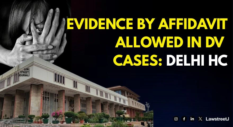Delhi High Court Affirms Evidence by Affidavit is Permissible in Domestic Violence Proceedings