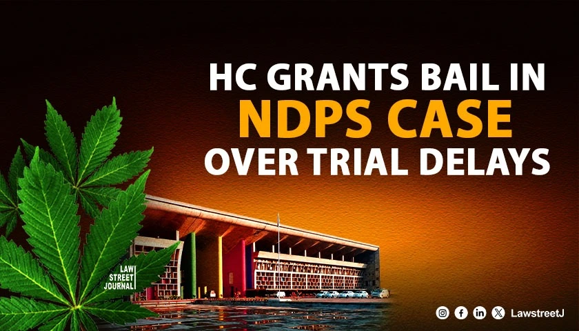 Punjab and Haryana HC Grants Bail in NDPS Commercial Quantity Case Citing Prosecutions Negligence