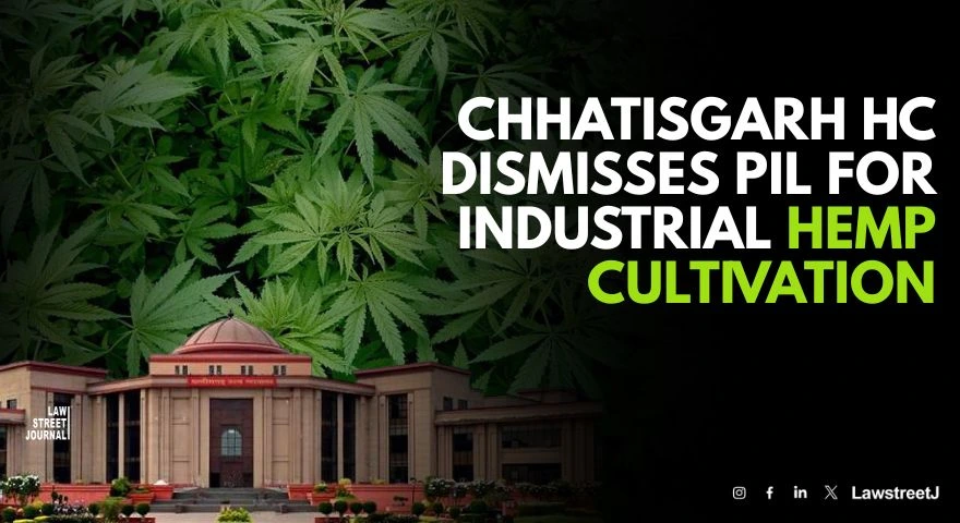 Chhatisgarh HC Dismisses PIL Seeking Permission For Industrial Hemp Cultivation