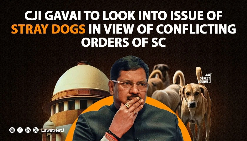 cji-gavai-to-look-into-issue-of-stray-dogs