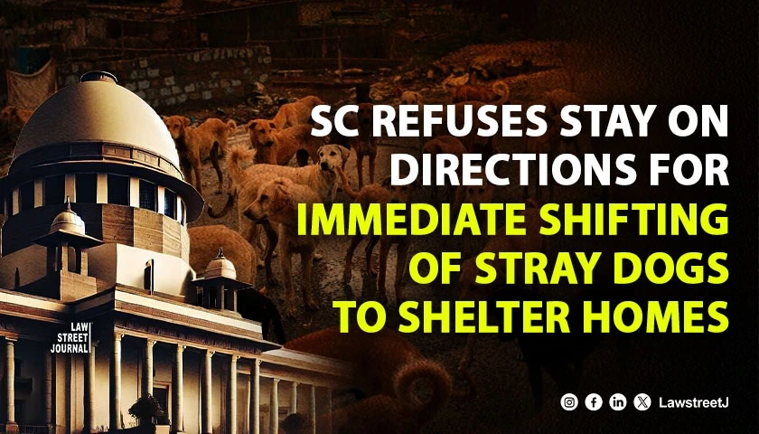 sc-refuses-stay-on-directions-for-immediate-shifting-of-stray-dogs-to-shelter-homes