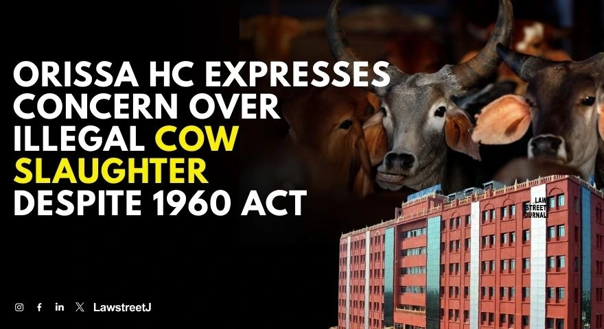 Orissa High Court Expresses Concern Over Illegal Cow Slaughter Despite 1960 Act
