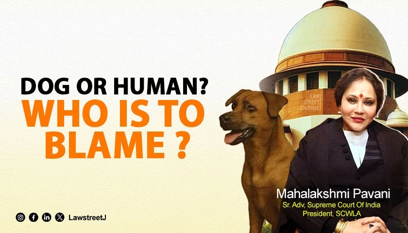 dog-or-human-who-is-to-blame