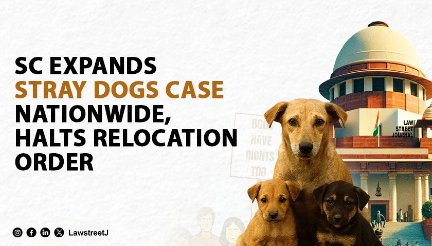 sc-widens-scope-of-suo-motu-hearing-on-stray-dogs-menace-suspends-previous-order-against-relocation