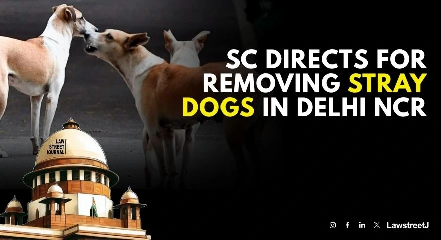sc-directs-for-removing-stray-dogs-in-delhi-ncr