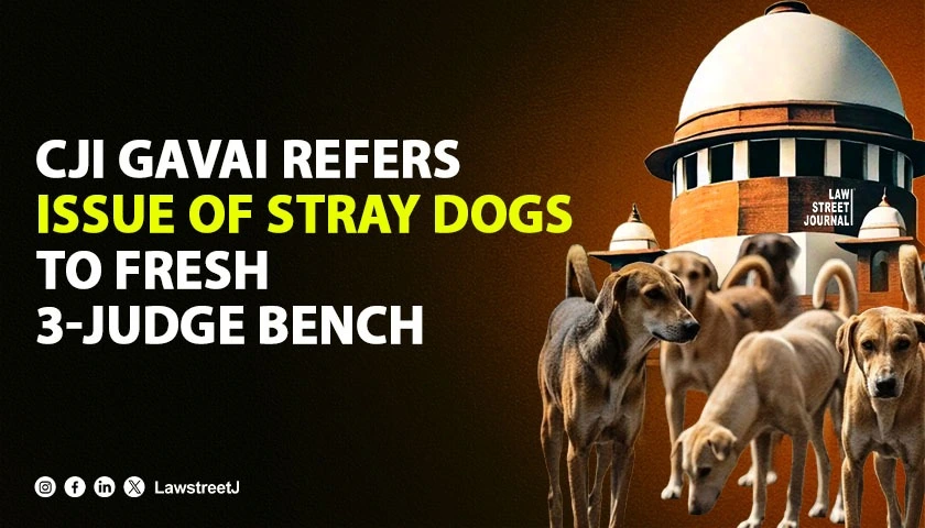 cji-gavai-refers-issue-of-stray-dogs-to-fresh-3-judge-bench