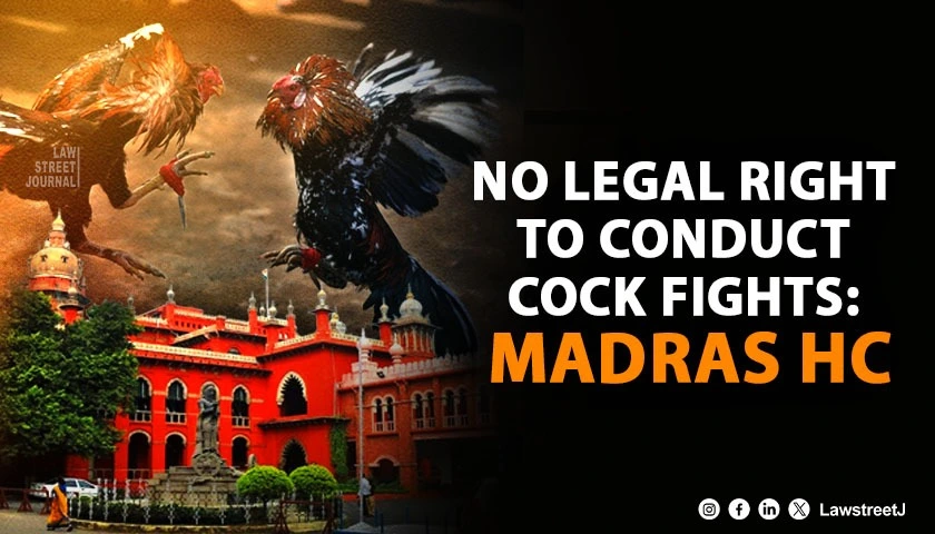 Madras HC Rules There Is No Legal Right To Conduct Cock Fights