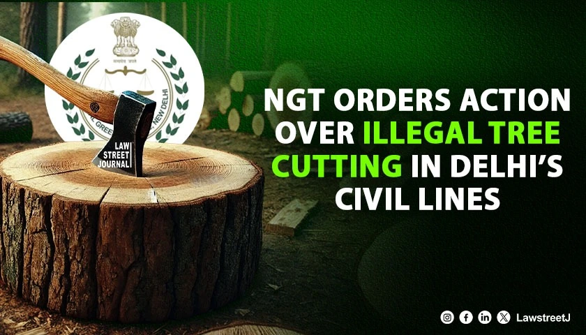 ngt-orders-probe-into-illegal-tree-felling-in-delhis-civil-lines-directs-action-within-three-months