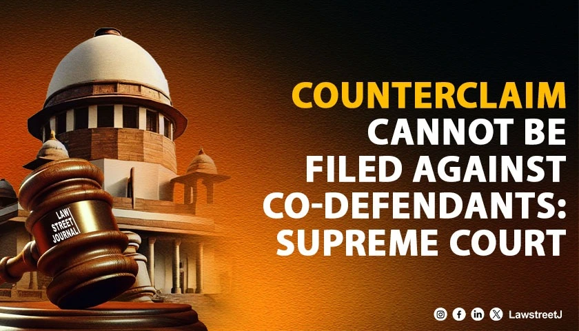 counterclaim-cannot-be-filed-against-co-defendants-sc