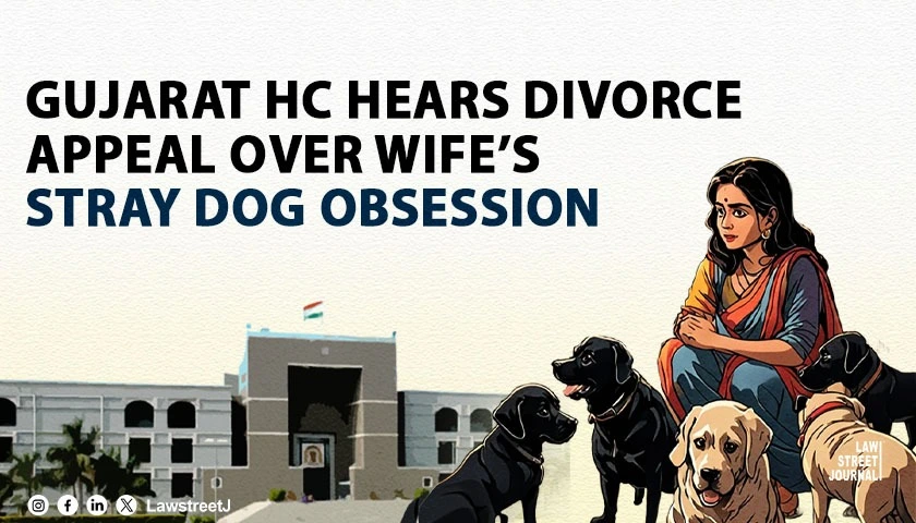 Gujarat HC to Hear Appeal Seeking Divorce On Grounds of Mental Cruelty Over Wifes Alleged Obsession With Stray Dogs