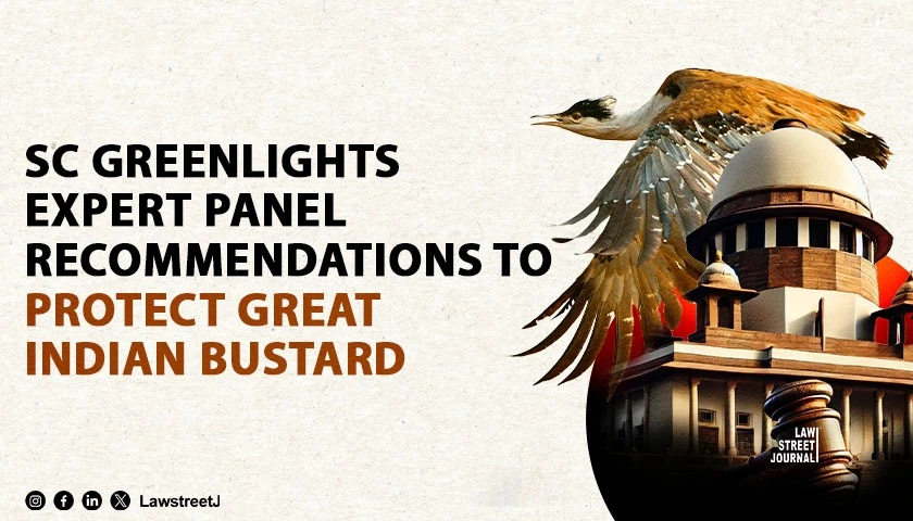 SC Greenlights Expert Panel Recommendations to Protect Great Indian Bustard