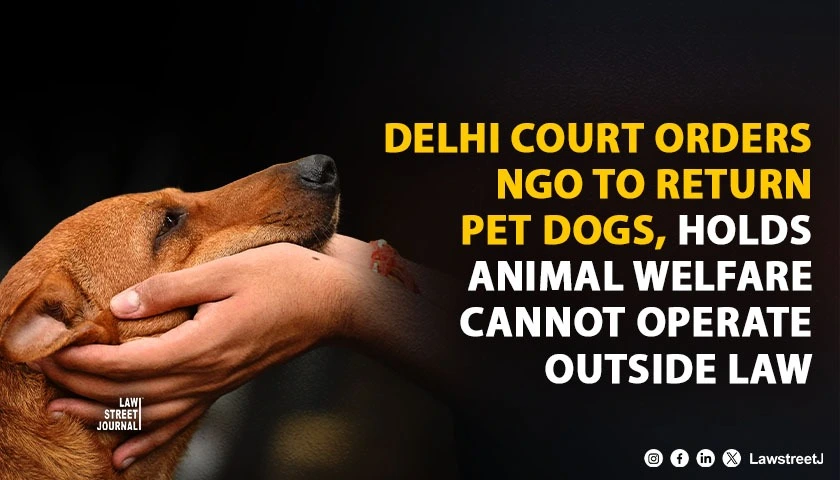 delhi-court-orders-ngo-to-return-pet-dogs-holds-animal-welfare-cannot-operate-outside-law