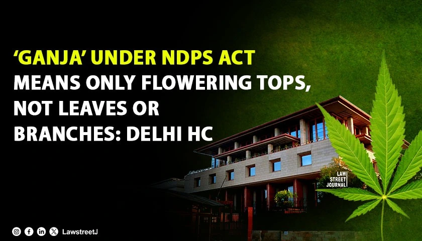 ganja-under-ndps-act-means-only-flowering-tops-not-leaves-or-branches-delhi-hc