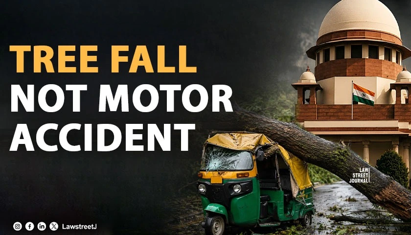 BBMP Not Liable Under MV Act For Tree Branch Falling On Stationary Auto SC Enhances Compensation To Rs 25 Lakh 
